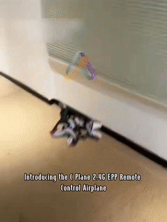 RC Fighter Drone | Quad Motor Gravity Sensor Aircraft