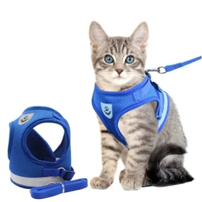 Reflective Cat Harness Set | Safety Mesh Design With Night Visibility