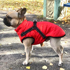 Winter Dog Coat | Built-in Safety Harness Design