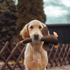 Interactive Dog Duck Toy | Durable Fabric Design