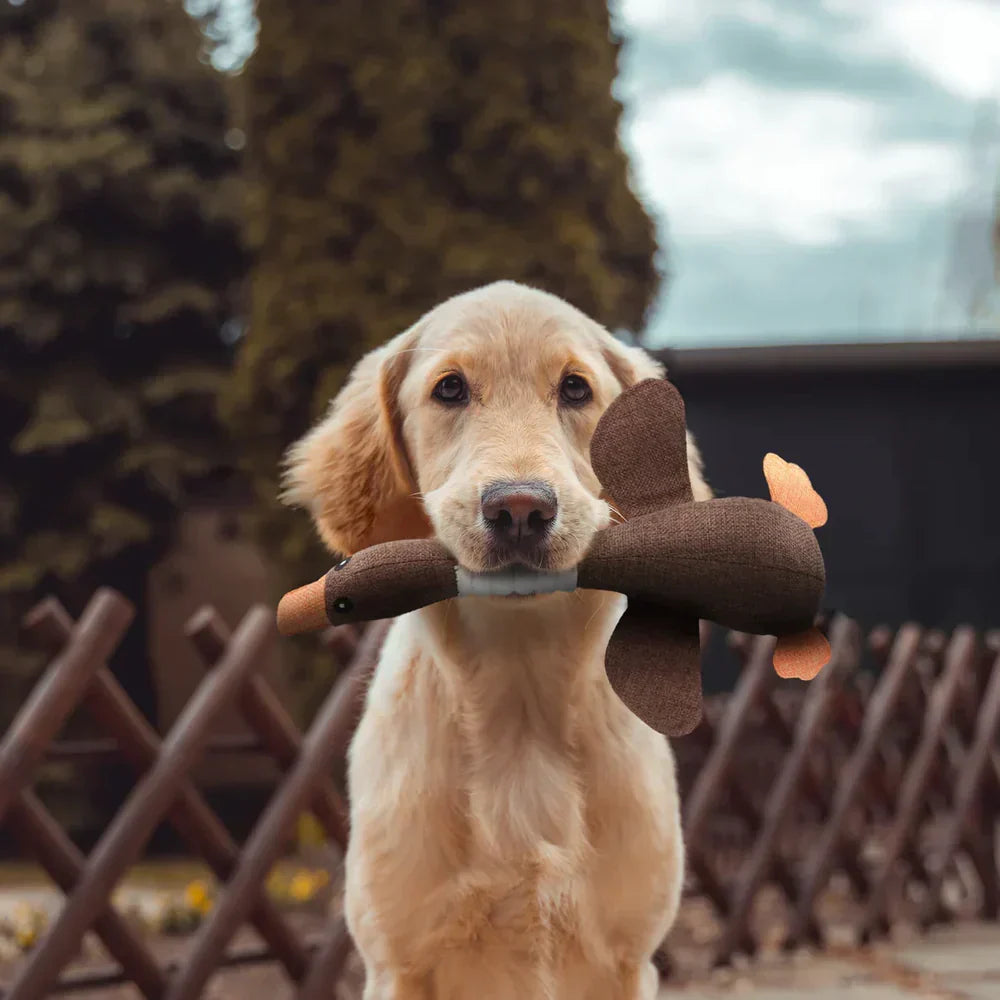Interactive Dog Duck Toy | Durable Fabric Design