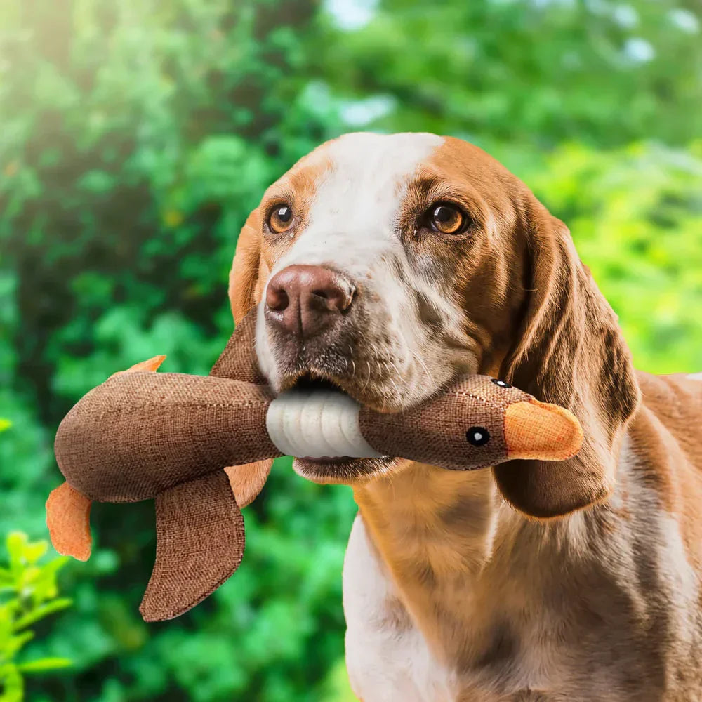 Interactive Dog Duck Toy | Durable Fabric Design