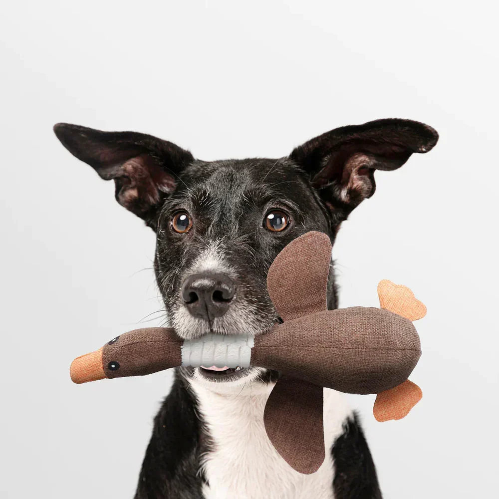 Interactive Dog Duck Toy | Durable Fabric Design