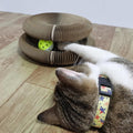 Interactive Cat Scratcher Toy | Collapsible Play Ring With Ball