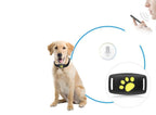 GPS Cat Tracker Collar | Real-Time Satellite Location Monitor