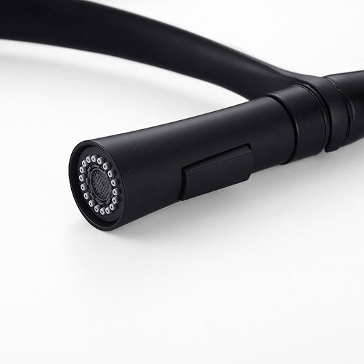 Modern Kitchen Faucet | Matte Black Gooseneck Pull Down Sprayer