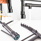 Modern Kitchen Faucet | Matte Black Pull-Down Sprayer