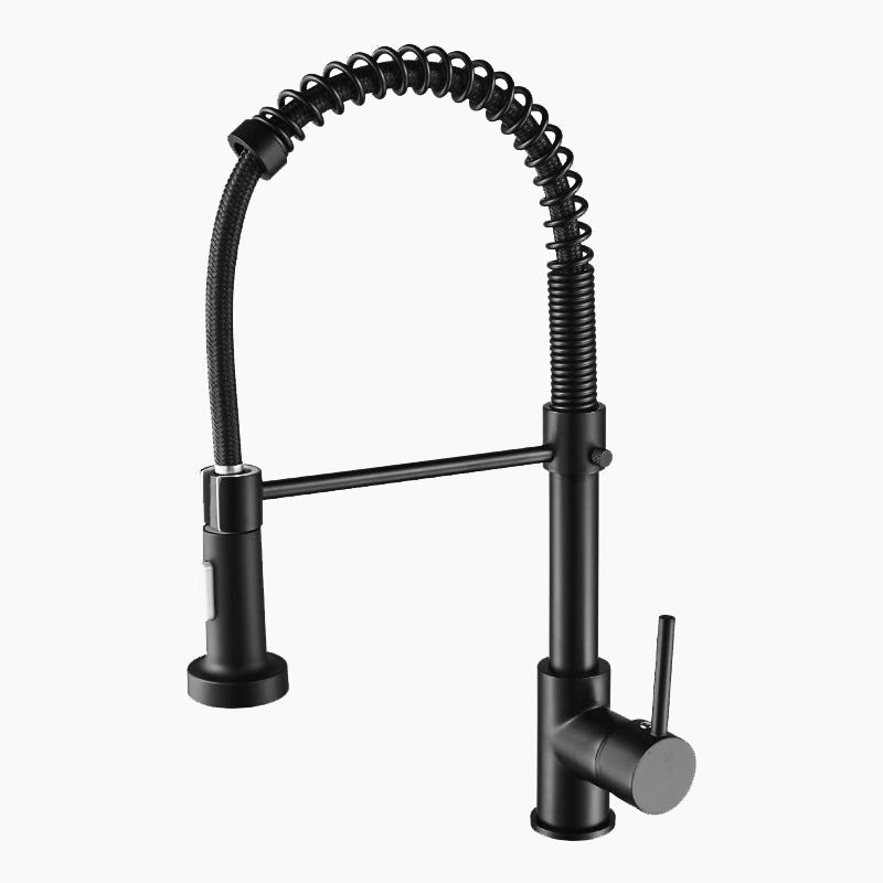 Professional Kitchen Faucet | Matte Black Pull-Down Sprayer