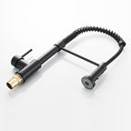 Professional Kitchen Faucet | Matte Black Pull-Down Sprayer
