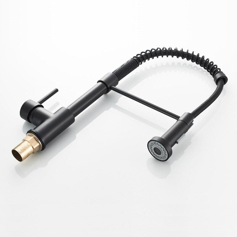 Professional Kitchen Faucet | Matte Black Pull-Down Sprayer
