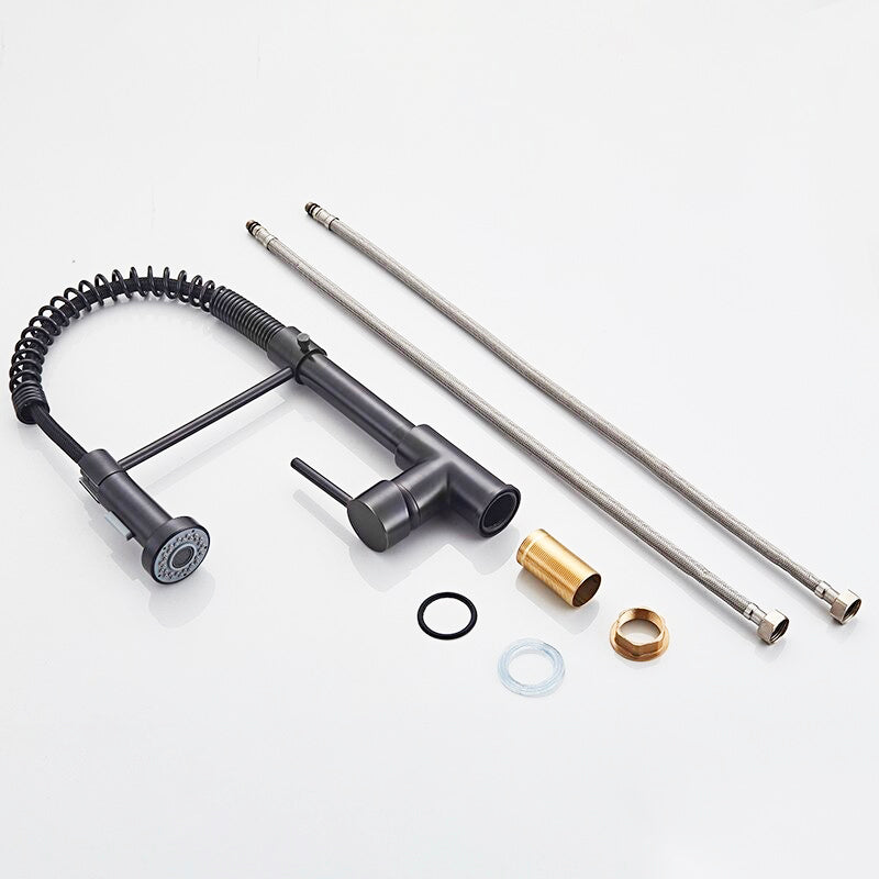 Professional Kitchen Faucet | Matte Black Pull-Down Sprayer