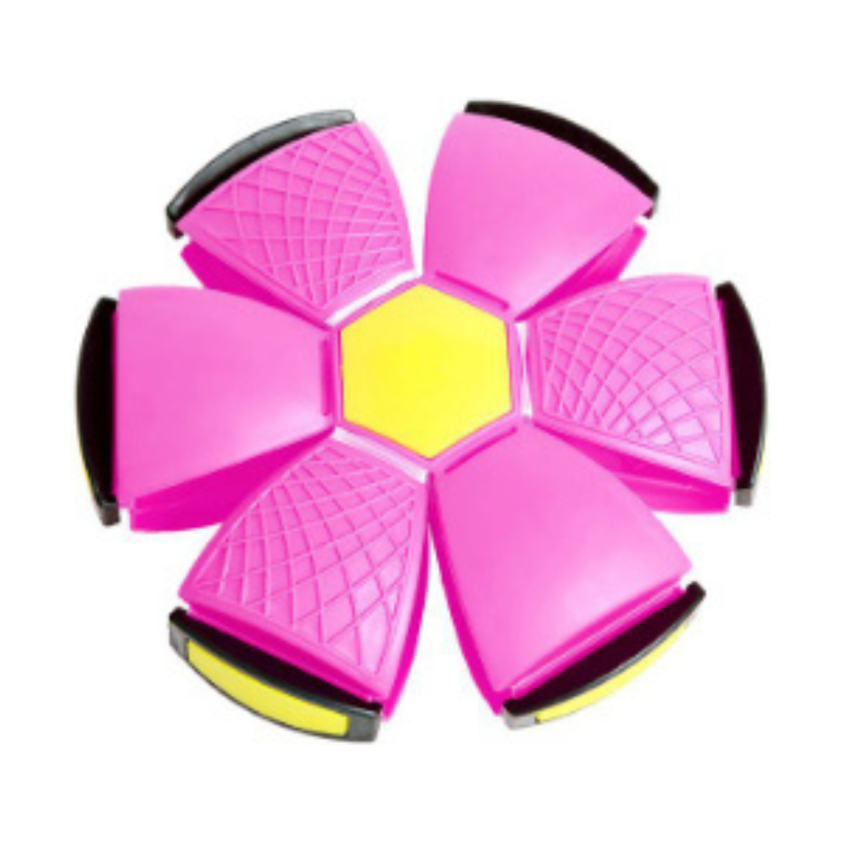 Transforming Pet Ball | Dual-Mode Play Disc with Floating Design