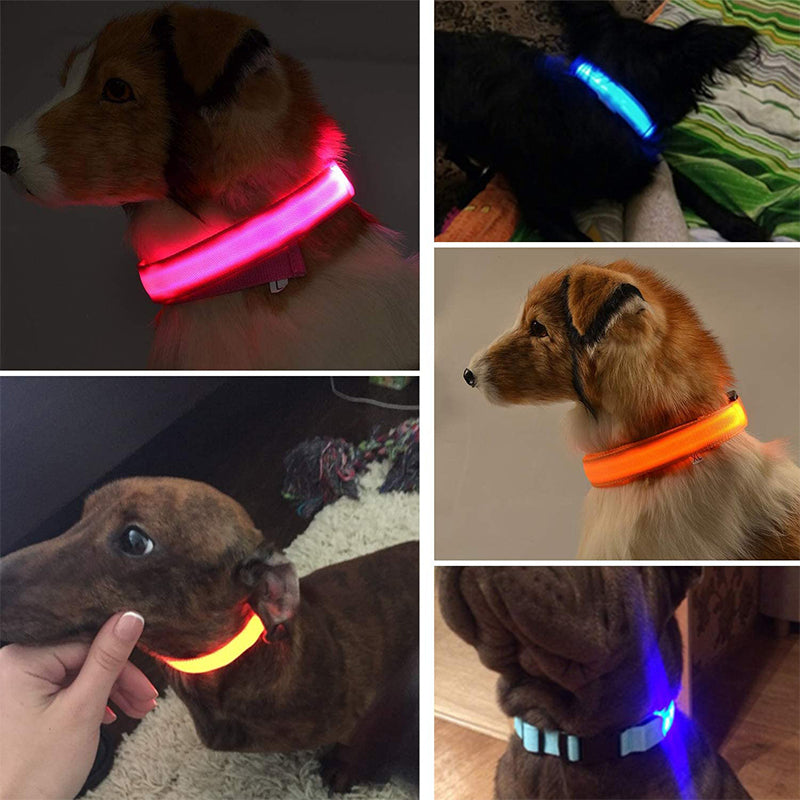 LED Pet Safety Collar | Rechargeable Night Visibility Design