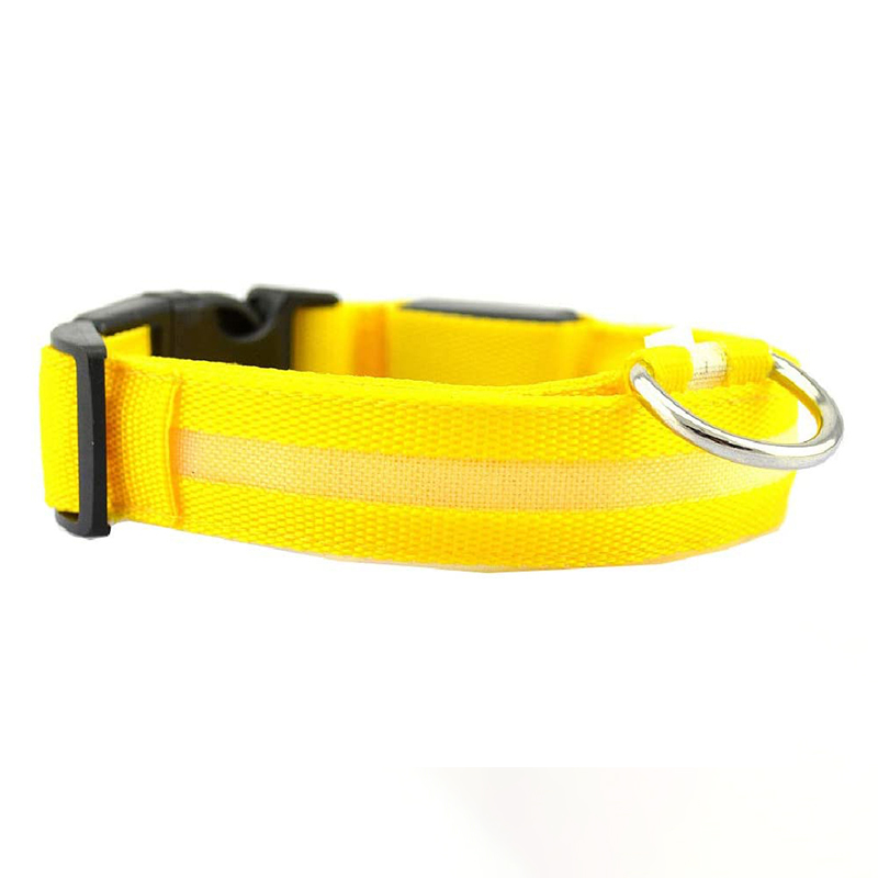 LED Pet Safety Collar | Rechargeable Night Visibility Design